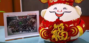 福祿壽喜報道，拓樸設(shè)計給您拜年啦！